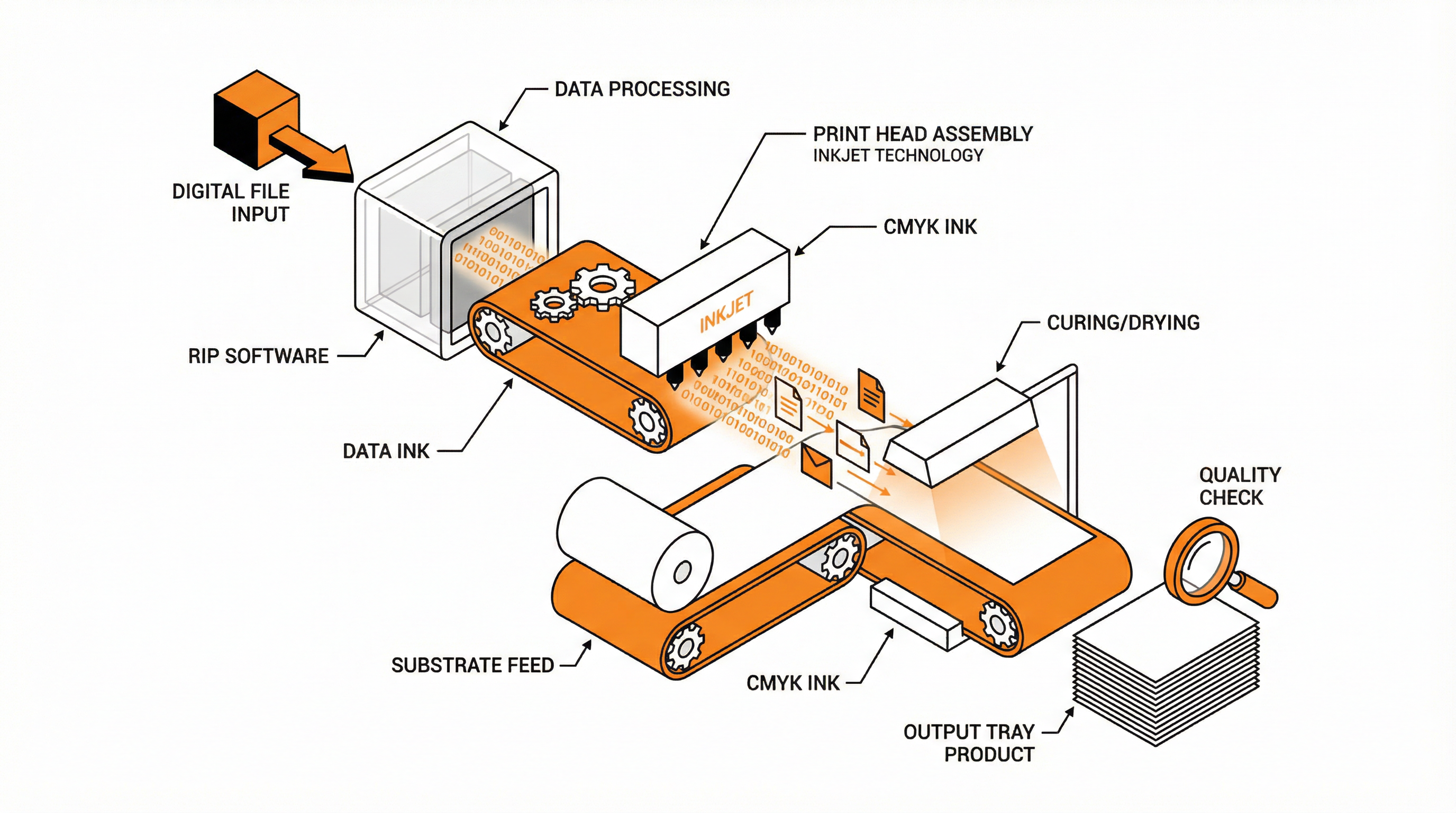 Process Visualization